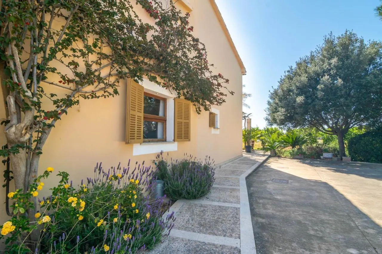 Chalet Can Pilos Inca  Spain